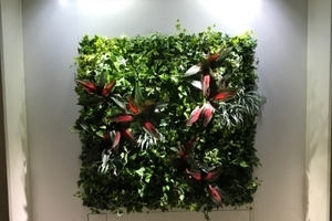 生の壁面緑化→造花の壁面緑化へ変更のサムネイル