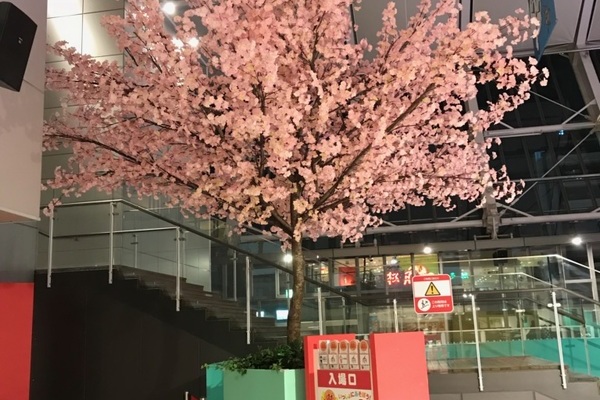 アンパンマンミュージアムに造花の桜の木を設置