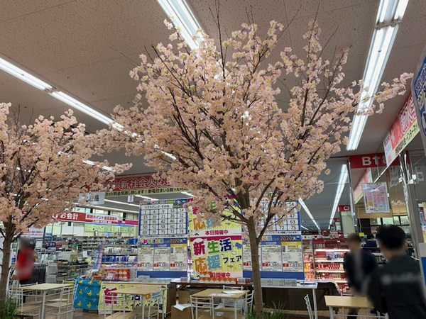 家電量販店に桜の木の装飾をさせて頂きました！