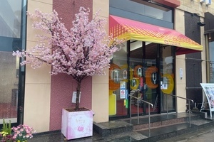 「TAMAYA　室見店」イルミネーション付き桜の装飾のサムネイル